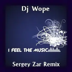 I Feel The Music (Sergey Zar Radio Remix)