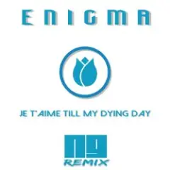 Je T'aime Till My Dying Day (NJ Remix)