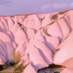 Autechre — Netlon Sentinel
