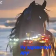 Ну здравствуй друг