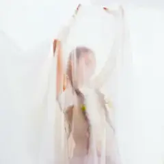 NICOLE — Летить душа