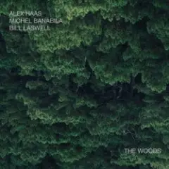 Bill Laswell — Outer Woo