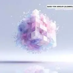Sans Ton Amour (Slowed)