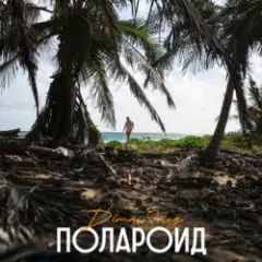 Dima Sneg — Полароид (Remix)