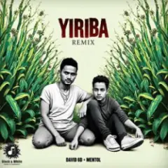Yiriba (Remix)