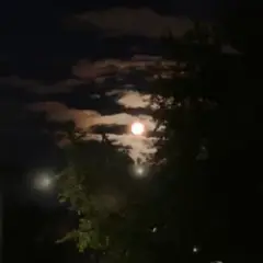 Ніч кохання