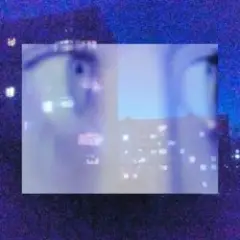 Stray.wav