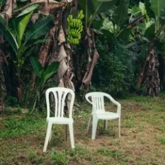 Bad Bunny — DtMF