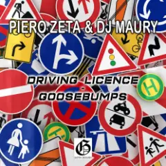 Driving Licence (Original Mix)