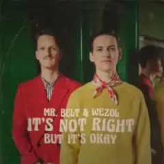 It's Not Right (But It's Ok)