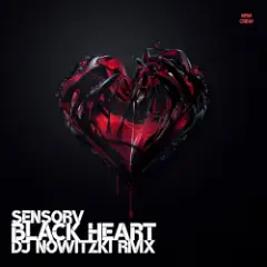 Black Heart (DJ Nowitzki Remix)