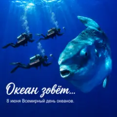 Океан ????