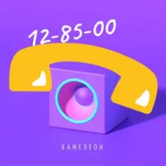 Хамелеон — Математика