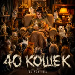 40 КОШЕК