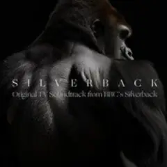Silverback — Aventador