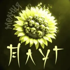 Молния
