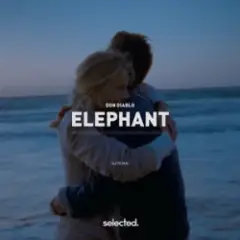 Don Diablo — Elephant