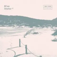 Shelter (Mixed)