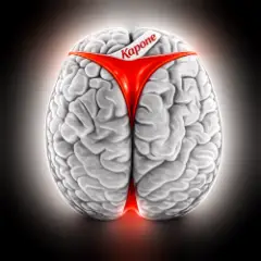 DMC Kapone — Brains 5 [2019]