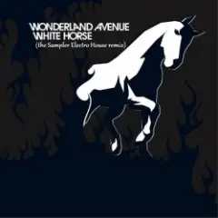 White Horse (the Sampler Electro House remix)