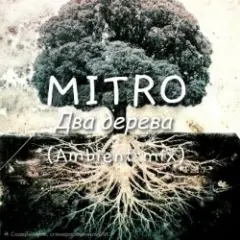 MITRO — Два дерева (Ambient mix)