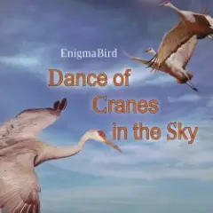 Dance of Cranes in the Sky