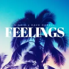 Ninkid & Dave Darell — Feelings