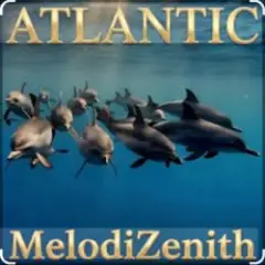 MelodiZenith — Atlantic
