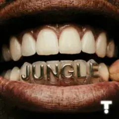 TroyBoi & Shiwa — Jungle