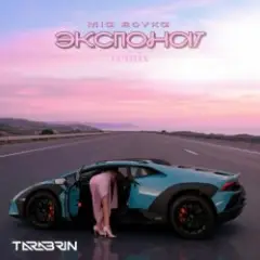 Экспонат (TARABRIN Radio Remix)