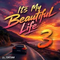 Its My Beautiful Life 3