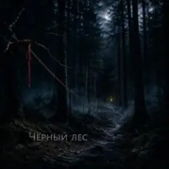 Ведьмина гора — Чёрный лес