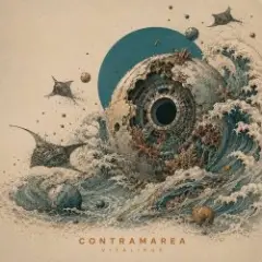 ViTaLiKuS — Contramarea