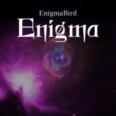 Enigma