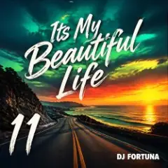 Its My Beautiful Life 11