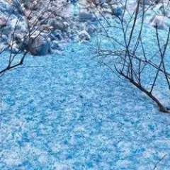 А пока лип синий снег
