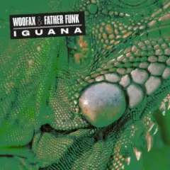 Iguana — Illimani