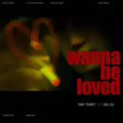 Timmy Trumpet & Moa Lisa — Wanna Be Loved