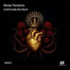 Mister Tenebrio — Gold Inside My Heart (Original Mix)