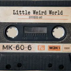 Little Weird World