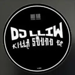 DJ LLIW — Stab
