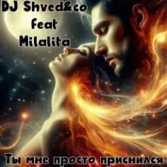 Milalita feat DJ Shved&co — Ты мне просто приснился