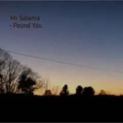 Mr Salama — Found You