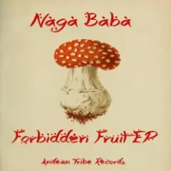 Naga Baba — The Prophet