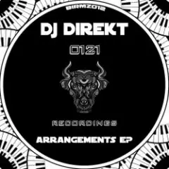 DJ Direkt — Hop Skotch
