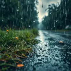 Дыхание дождя
