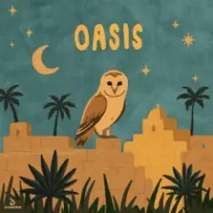 KSHMR & Ampermut & Gobi Desert Collective & TEJA — Oasis