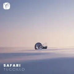 Tuccillo — Safari (Mixed)