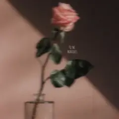 Tu Me Manques