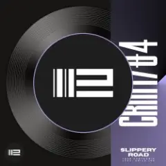 Igor Pumphonia & Anita Lav — Slippery Road